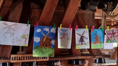 eine Auswahl von eingereichten Bildern