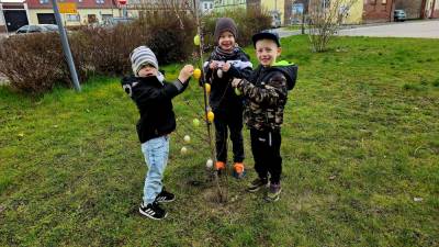 Der im letzten Jahr gepflanzte Pfirsichbaum wurde ebenfalls oesterlich dekoriert.