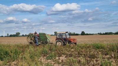 Impressionen Steinitz