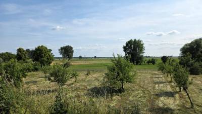 Burgberg in Jerichow