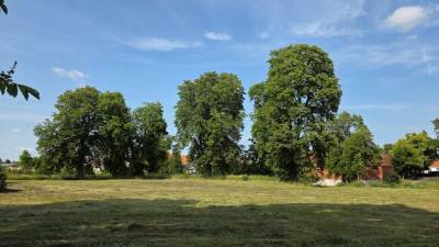 Burgberg in Jerichow